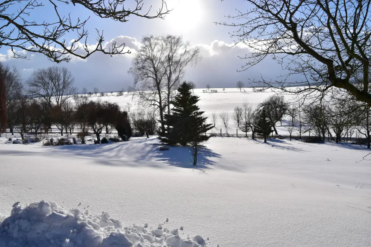 Winterlandschaft im Eichsfeld mit verschneiten Feldern und Sonnenschein