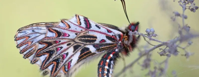 Radfahren durch die grüne Eichsfeld-Landschaft