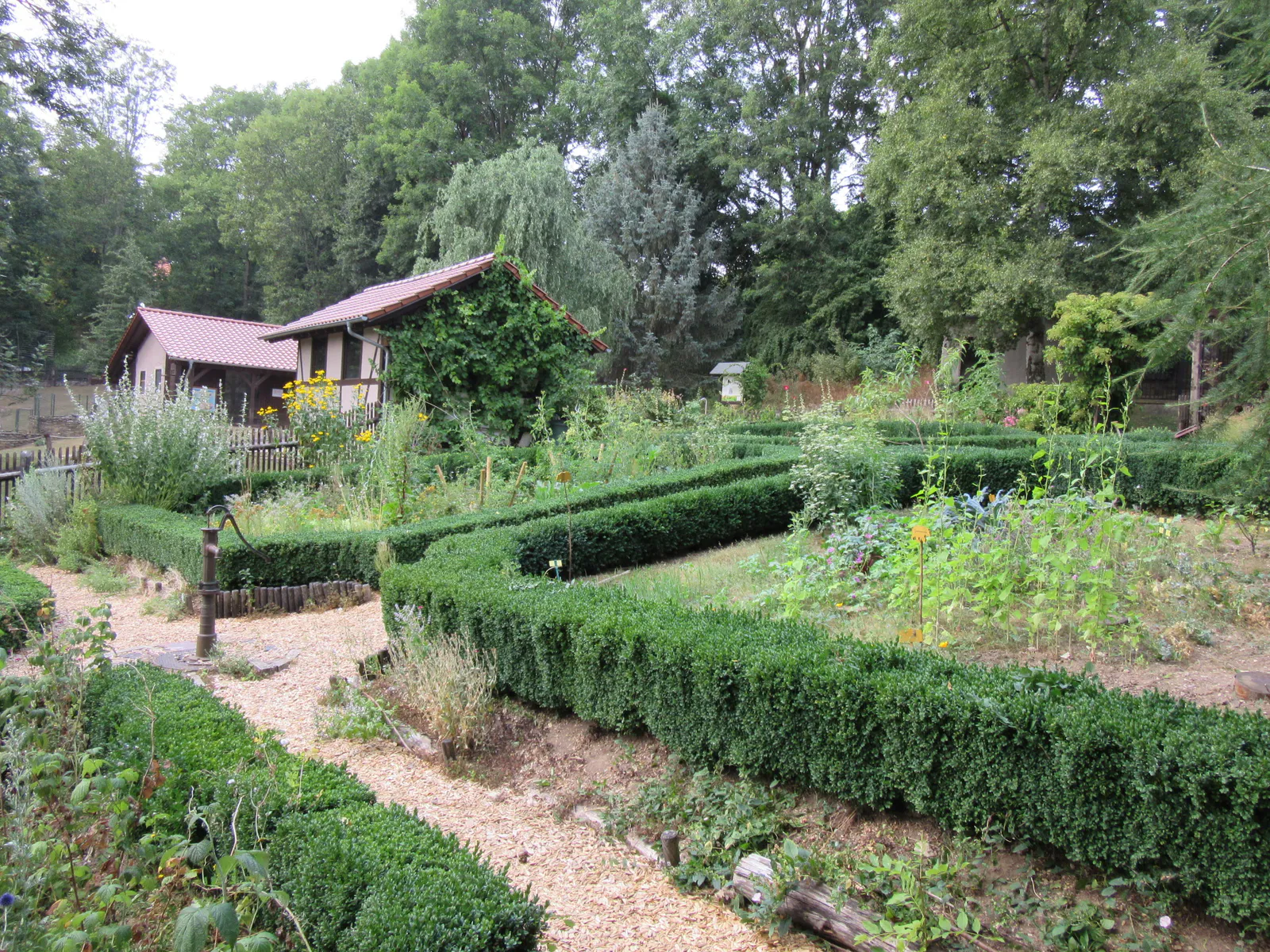 Well-kept herb garden on the grounds of the bear park