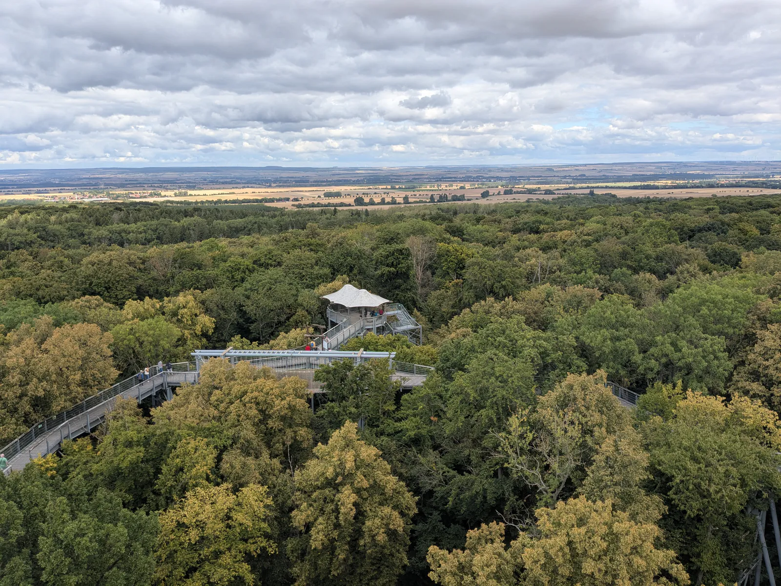 Treetop Walk Hainich – observation tower with sweeping views over the national park