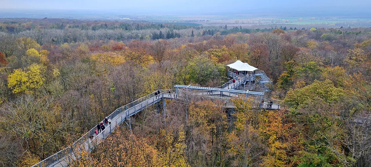 Baumkronenpfad im Nationalpark Hainich