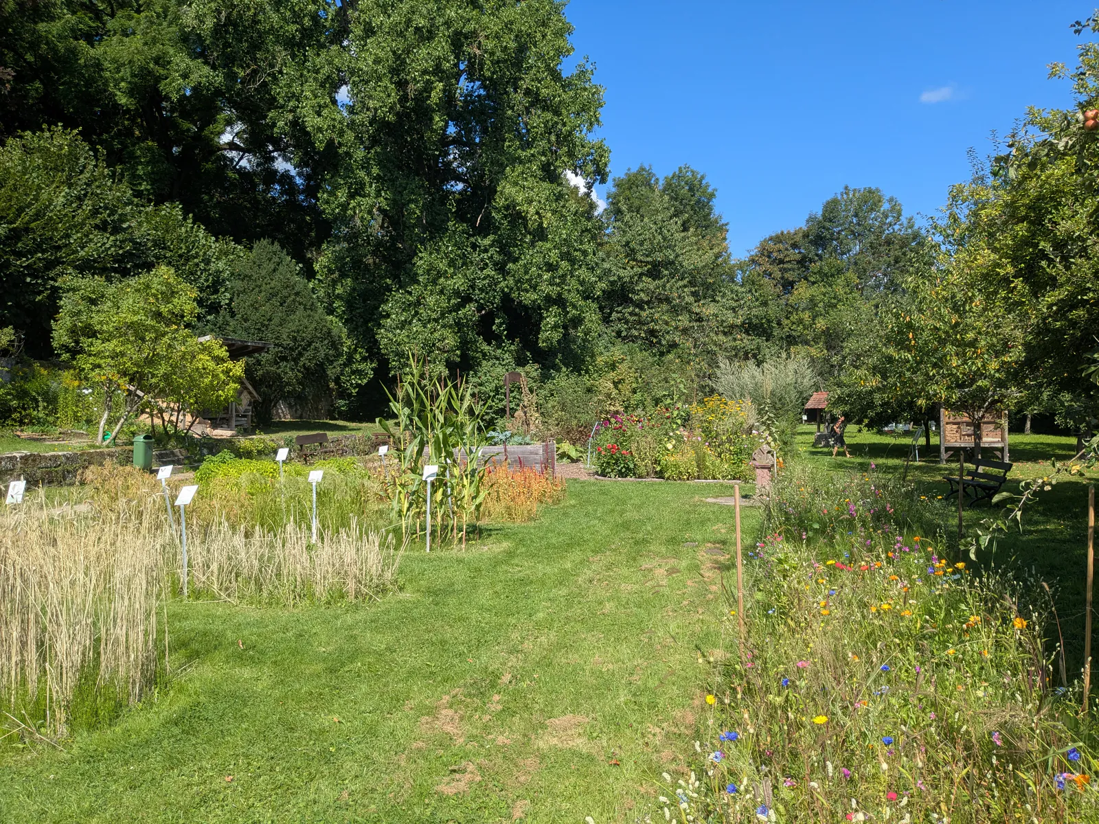 Expansive outdoor grounds of the Bread Museum with historic buildings and green spaces
