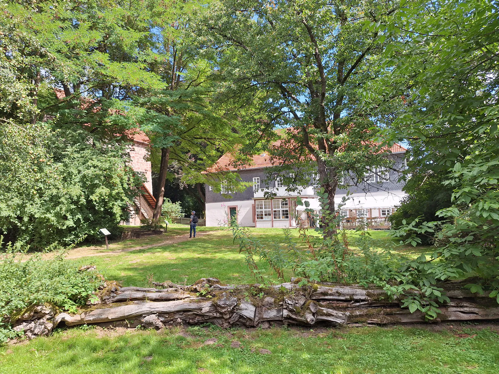 Museum building surrounded by mature trees and garden grounds
