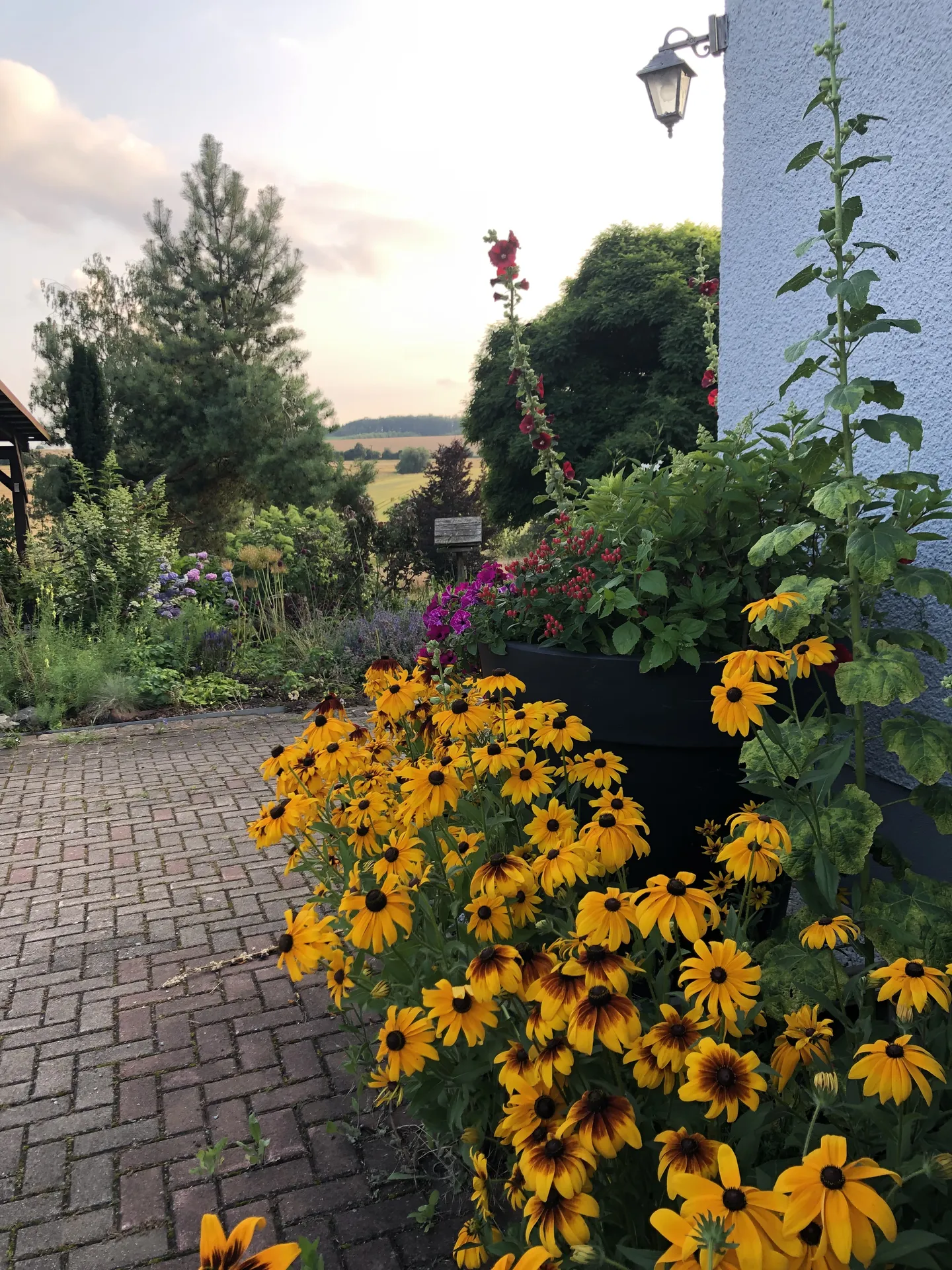 Gelber Sonnenhut und bunte Blumen im Garten der Pension