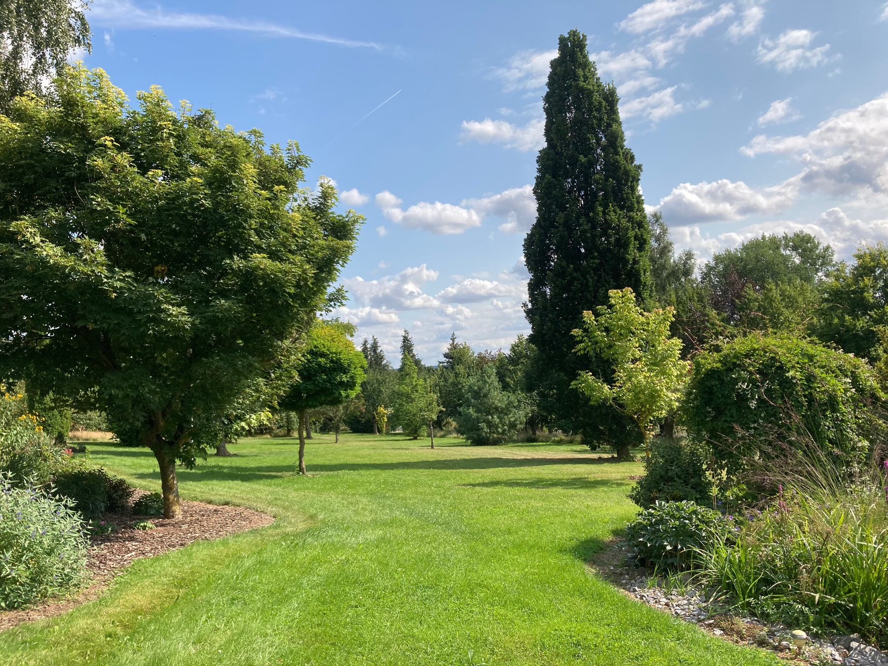 Sonniger Gartenrasen mit alten Obstbäumen im Sommer