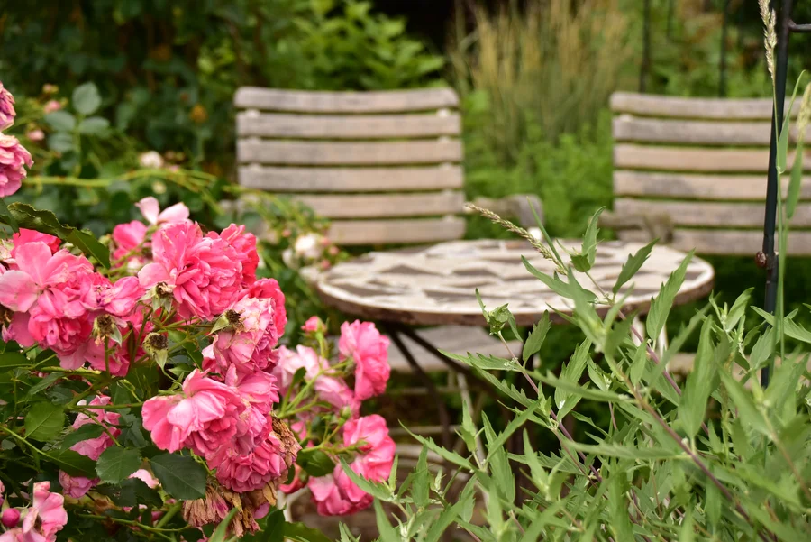 Gartensitzecke mit Rosen im Gartenpavillon der Pension Volgenandt