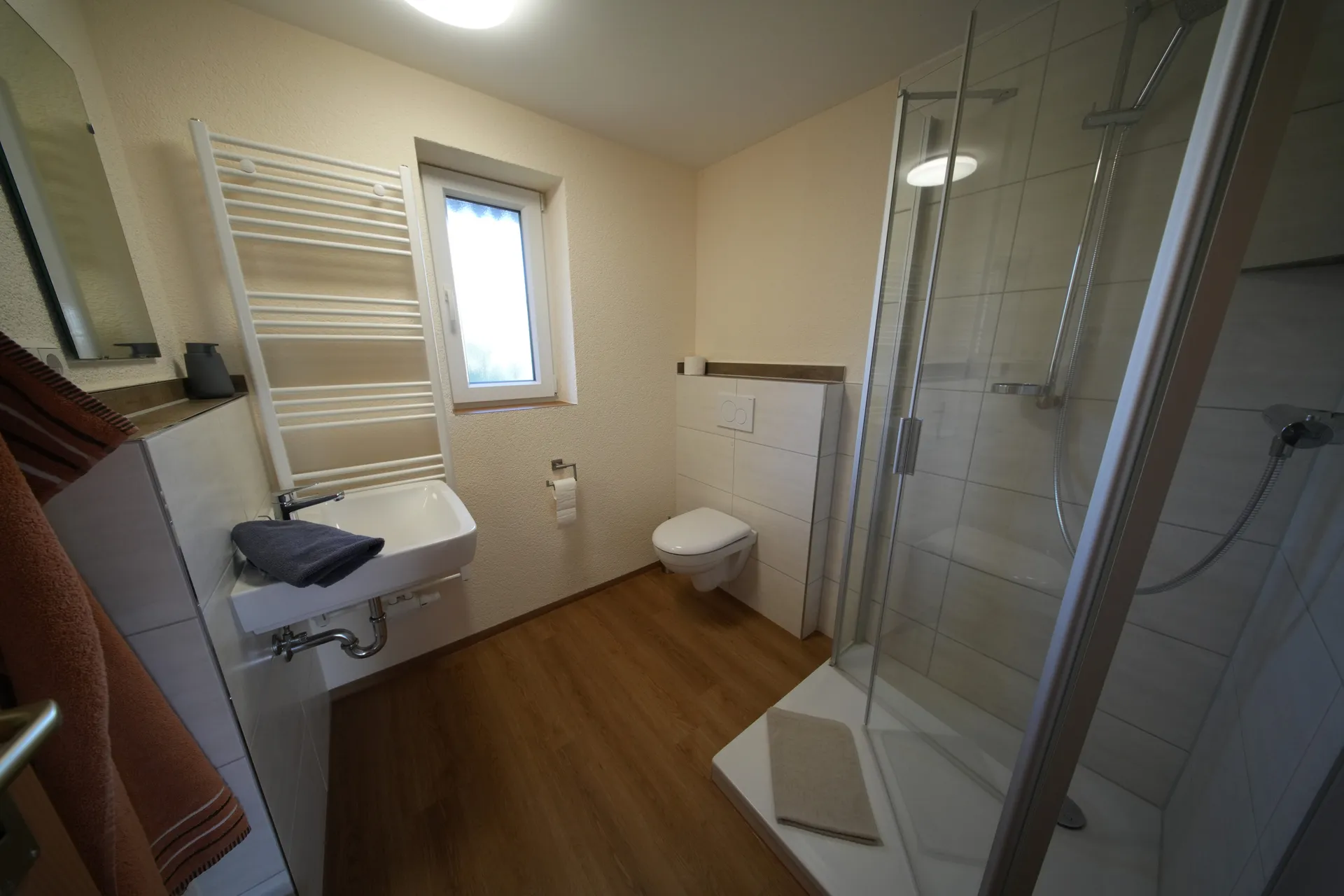 Bathroom with heated towel rail and glass shower