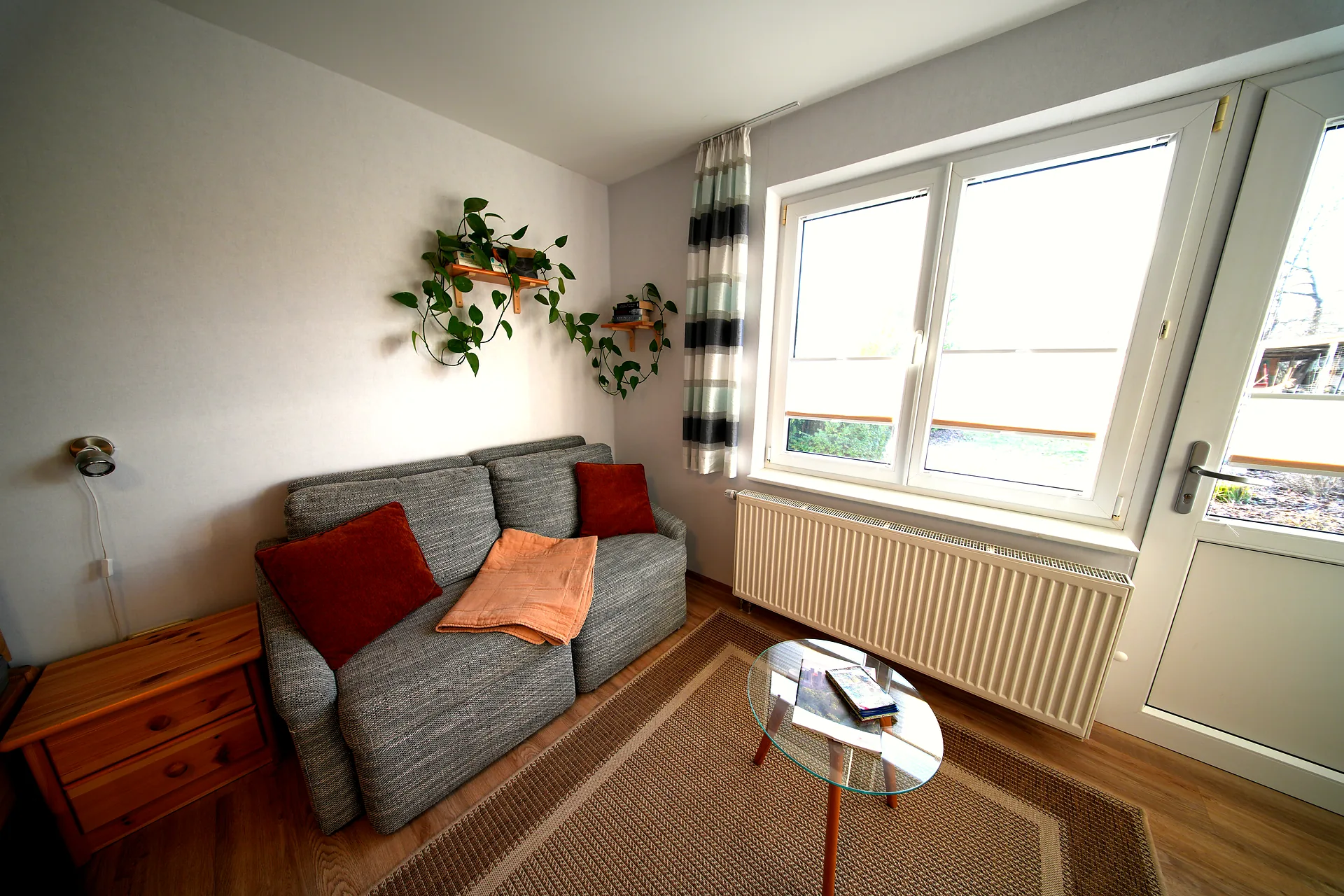Living area with sofa, plant shelf and window
